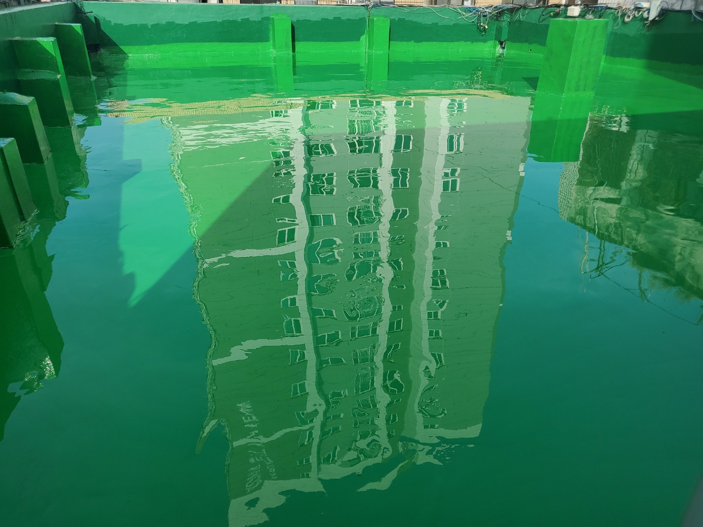 3695294320_8pANCVje_06e063d950a2965c4f8fd97a4f02e9ab9463c39c.jpg 이미지크게보기